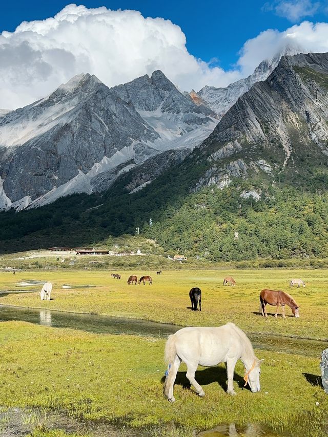 川西美景|探索未知，發現心靈的寧靜