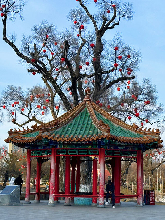 親子遊，延邊人民公園真是個讓人心情愉悅的好去處！