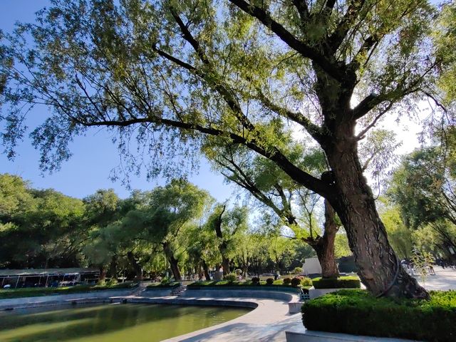 甘肅平涼柳湖公園