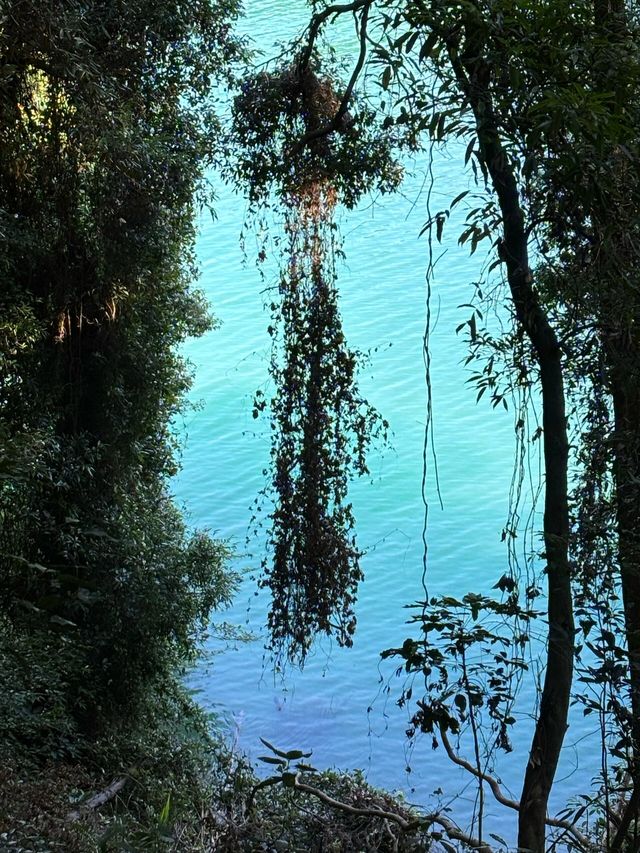 河源萬綠湖|自帶濾鏡的大自然真的太愛了
