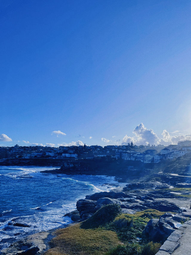 醉美人間景，不虛仙海行