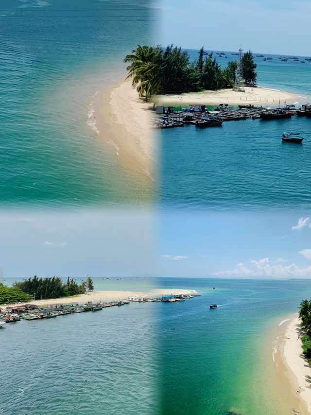 陵水南灣猴島|調皮不野蠻 快樂會傳染