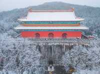 適合獨自來南京旅行的深度遊賞雪攻略！