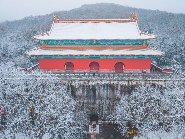 適合獨自來南京旅行的深度遊賞雪攻略！