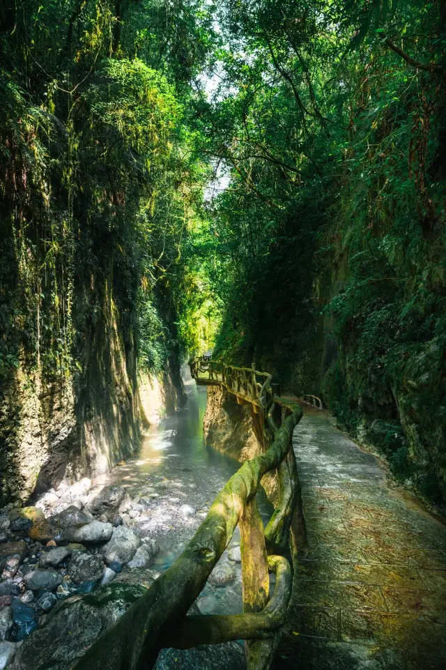 If you have the time, you must visit Shangchun Mountain to see the vibrant spring