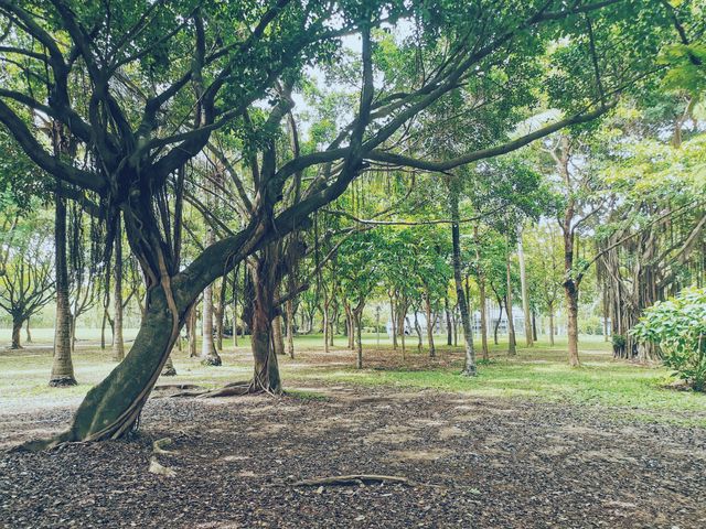 在地鐵口就能看到海的公園丨深圳最好的跑步騎行地