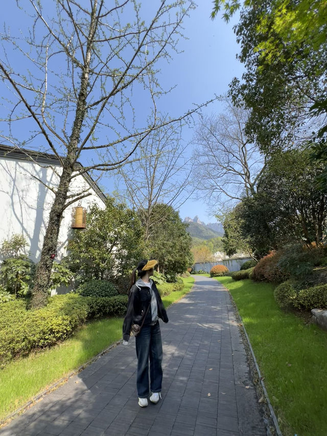 在上班和上進之間，果然選擇上香