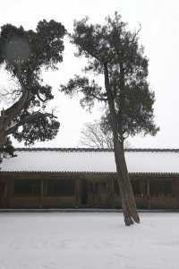 古建旅遊｜汾城時間鎖，一鎖600年