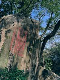 福州「三山」之於山，深藏歷史文化底蘊