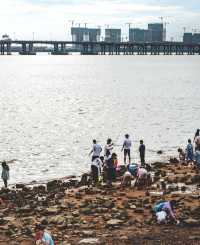 我宣布！這是深圳最美海邊公園