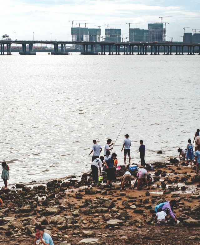 我宣布！這是深圳最美海邊公園