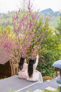 追隨春風去度假之——住進春天裡