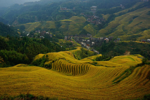 這裡有廣闊的視野，適合觀看日出，可以俯瞰整個梯田