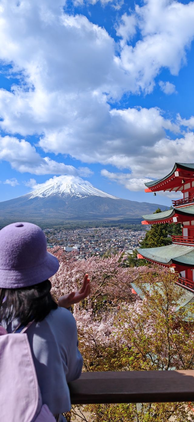 【戀戀櫻花季】新倉山淺間公園：櫻花與神社與富士山絕妙同框