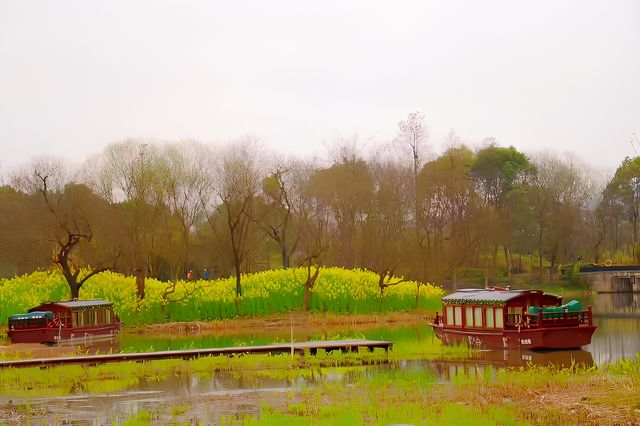 西溪濕地公園踏春記，春意盎然覓芳蹤！