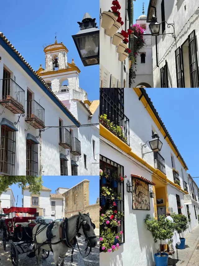 スペイン｜コルドバ旅行ガイド