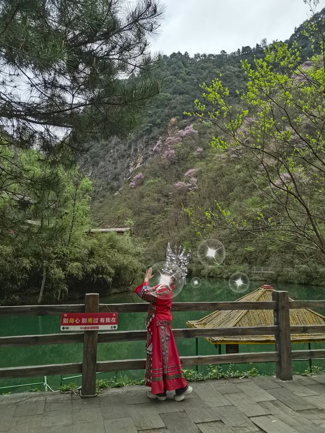 金絲峽