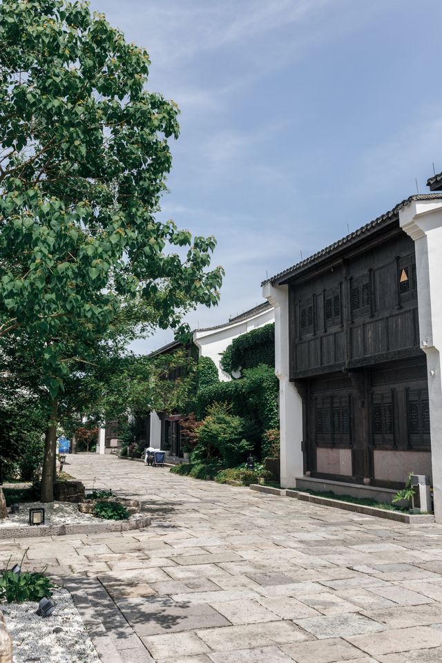 半邊山觀堂 | 半邊是山半邊是海