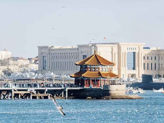 拒絕擺爛，來青島一定要做的30件小事。