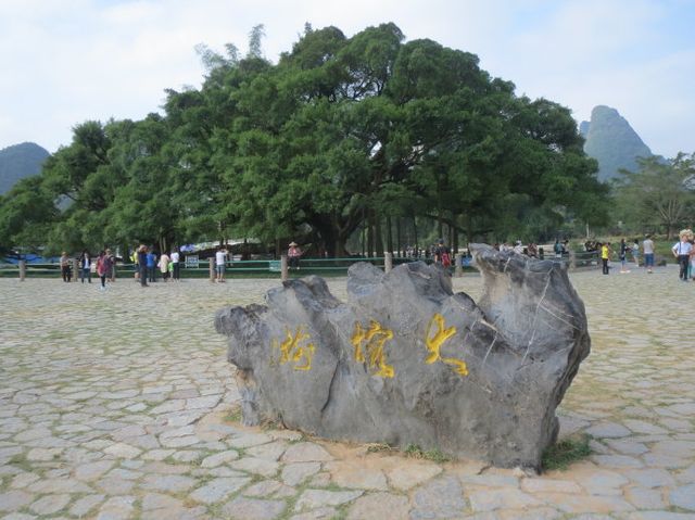 我了解的陽朔大榕樹。