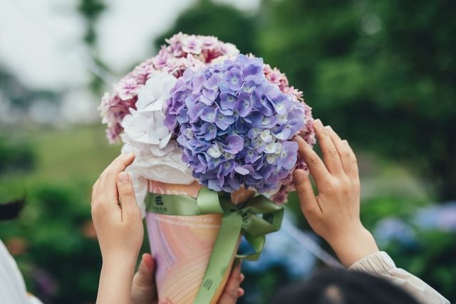 這個村的繡球花，才能稱作無盡夏的盛宴
