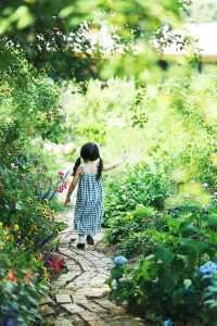 長沙夏天也能賞花這3個地方能遛娃還出片