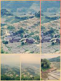 紫鵲界梯田遊玩攻略