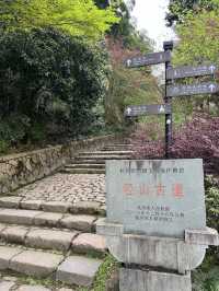 讓身心放個假，江浙滬佛系度假民宿推薦