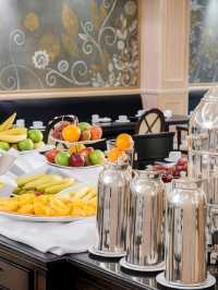 🌟 Mendoza Marvels: Top Hotel Picks! 🏨🍇