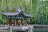珍珠泉｜玉輪滾滾無時已，珠顆涓涓盡日生