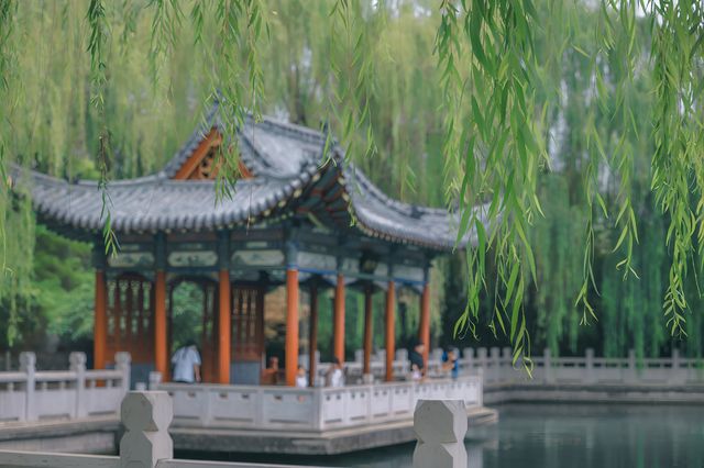 珍珠泉｜玉輪滾滾無時已，珠顆涓涓盡日生