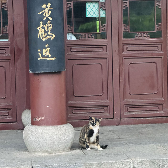 武漢——值得！
