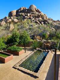 🌵 Scottsdale's Oasis: Top Hotel Picks! 🏨✨