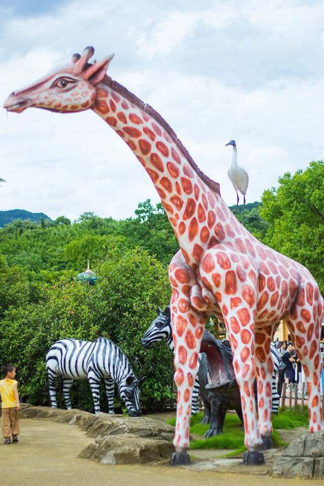 剛回來！！杭州野生動物世界夏日暢玩攻略