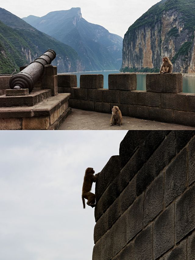 奉節 | 瞿塘峽