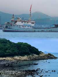 一起去舟山趕海吧