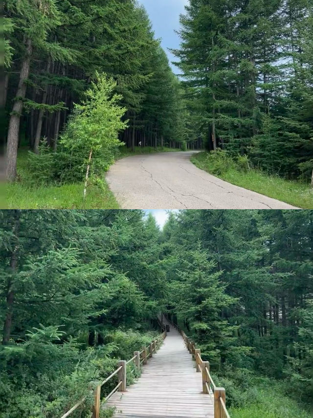 超讚的京郊親子小鎮|翠雲山吃喝玩樂超滿足