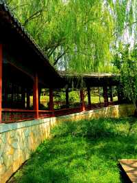 北坞公園