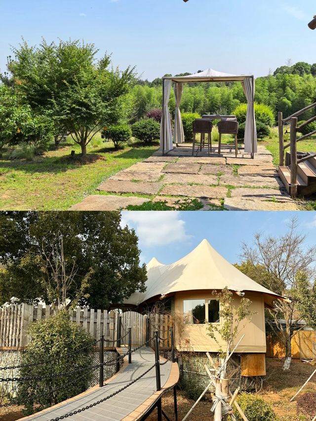 輕衫細馬|春風得意|Anadu橄欖莊園|擁抱春天。