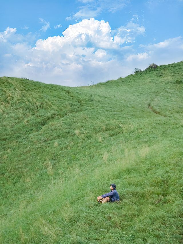 深圳公交直達山頂草原，被山上的風治癒（附攻略）。