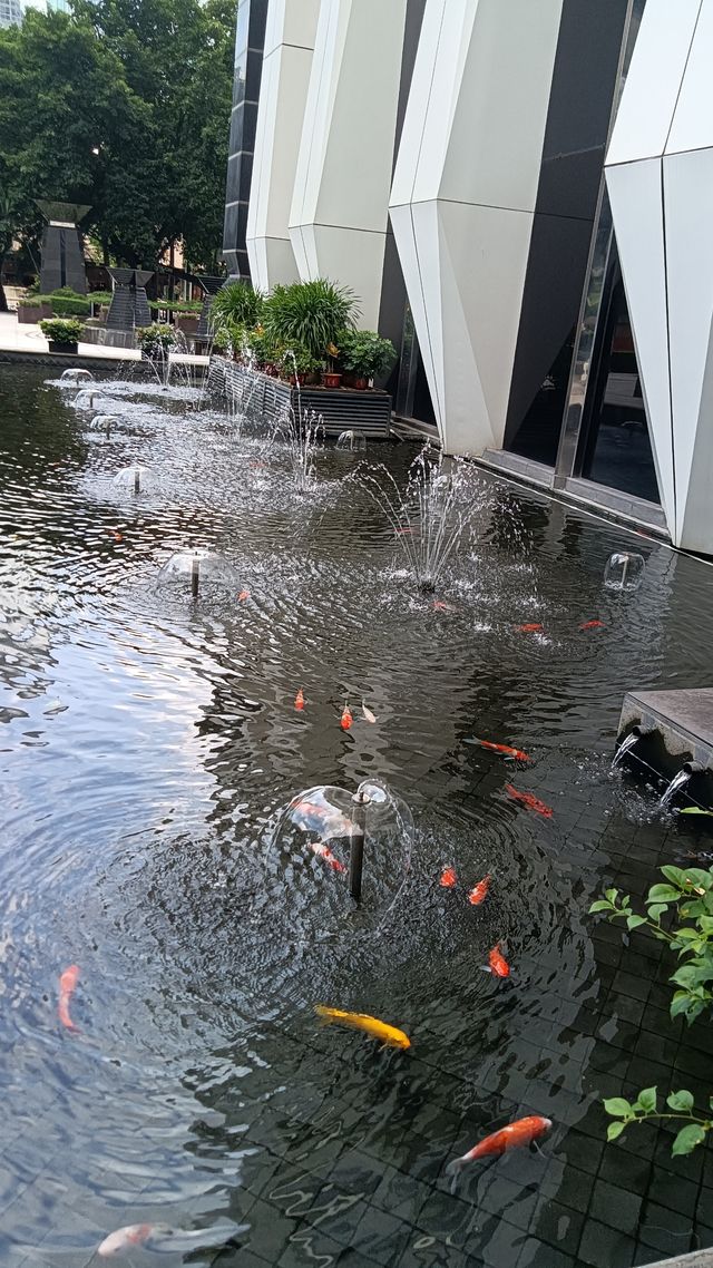 深圳向日葵公園·青綠&清幽。