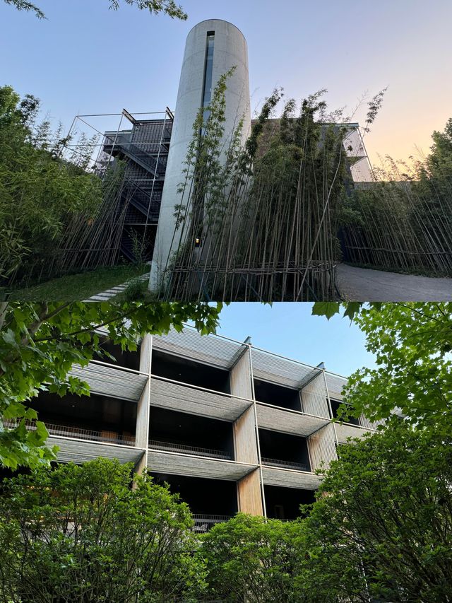 我宣布這是南京性價比最高的酒店。
