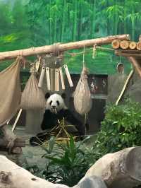 長假去哪兒玩？當然是來一場說走就走的親子奇妙旅行啦！今年。