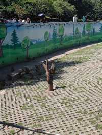 秦嶺野生動物園。