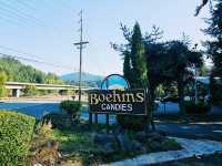 西雅圖自然之旅｜探索伊薩誇的「Jakob Two Tree」。