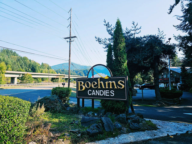 西雅圖自然之旅｜探索伊薩誇的「Jakob Two Tree」。