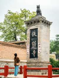 山西真的有為貓咪建造的廟宇——喵喵教總壇。
