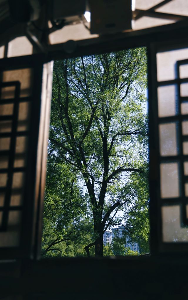 延安棗園革命舊址。