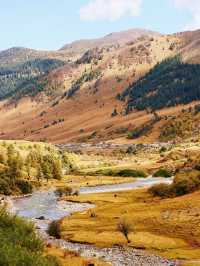 走,帶你進入宮崎駿的漫畫世界。。