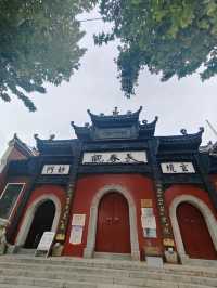 武漢長春觀｜美哭！遠離喧囂的賞銀杏地。